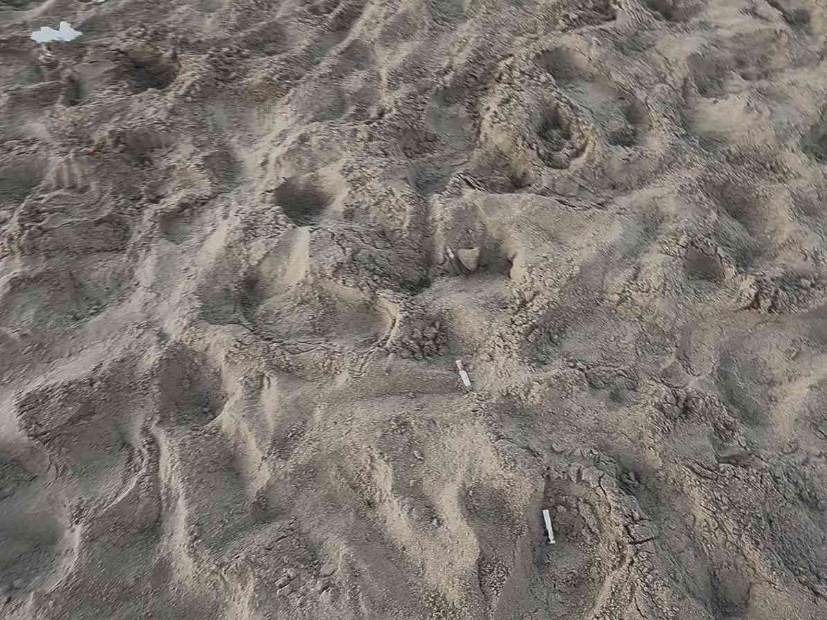 Immagine articolo: Il lettore scrive: “Cicche di sigarette abbandonate in spiaggia a Porto Palo. Inciviltà dilagante”