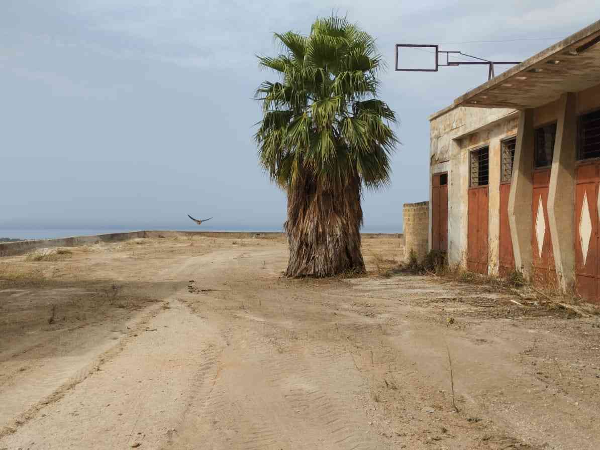 Immagine articolo: Menfi. Ripulito “lu pizzu“, luogo di incontro per diverse generazioni di menfitani