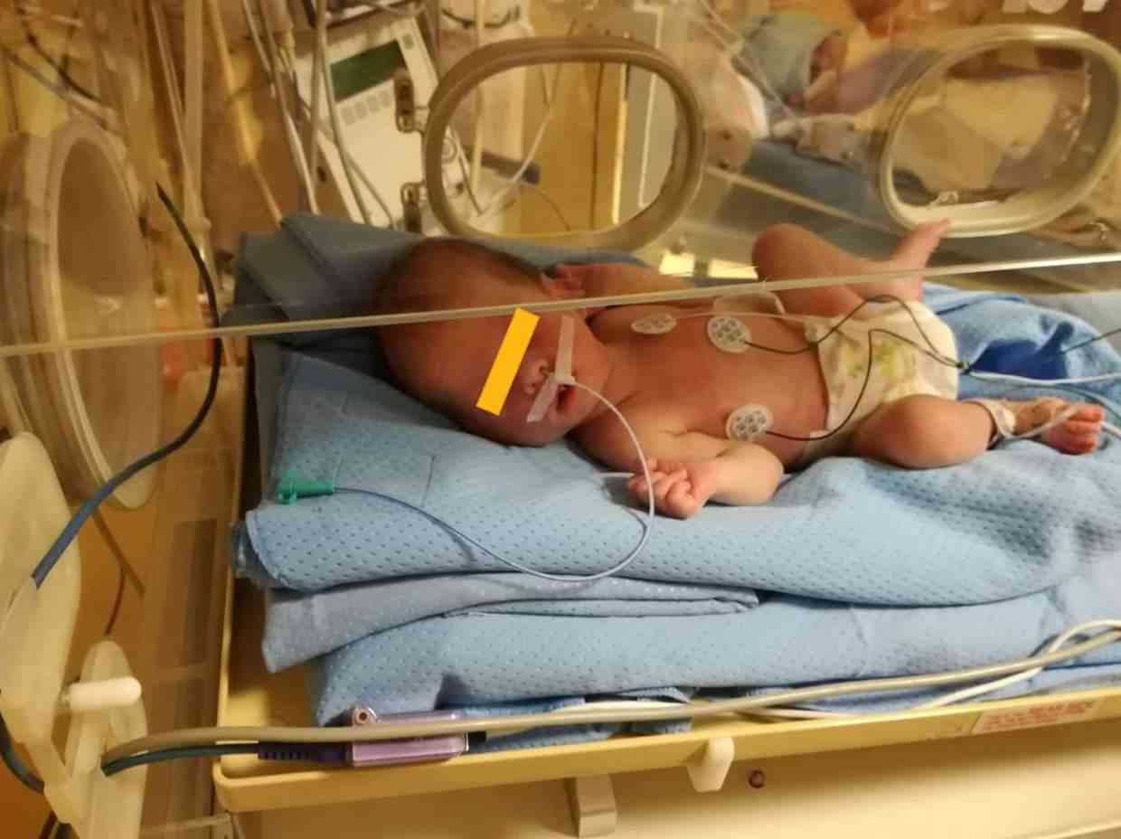 Immagine articolo: Montevago, un Natale a casa per il piccolo Salvatore. I Carabinieri ritrovano parte del gregge rubato al papà