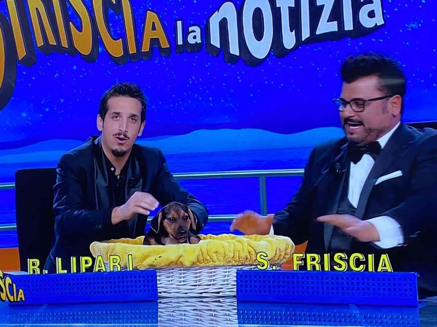 Immagine articolo: Da Santa Margherita al bancone di Striscia la Notizia. La tradizione si ripete