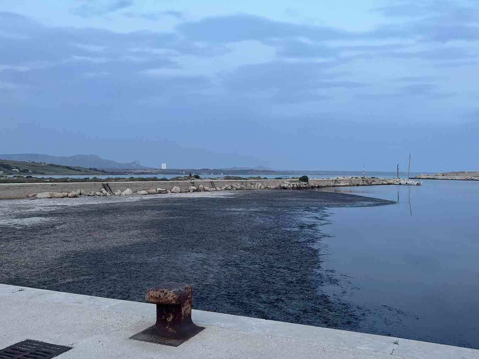 Immagine articolo: Menfi. Posidonia. Concluso il vertice con il Prefetto. Tarantino: “Due proposte per il porto“
