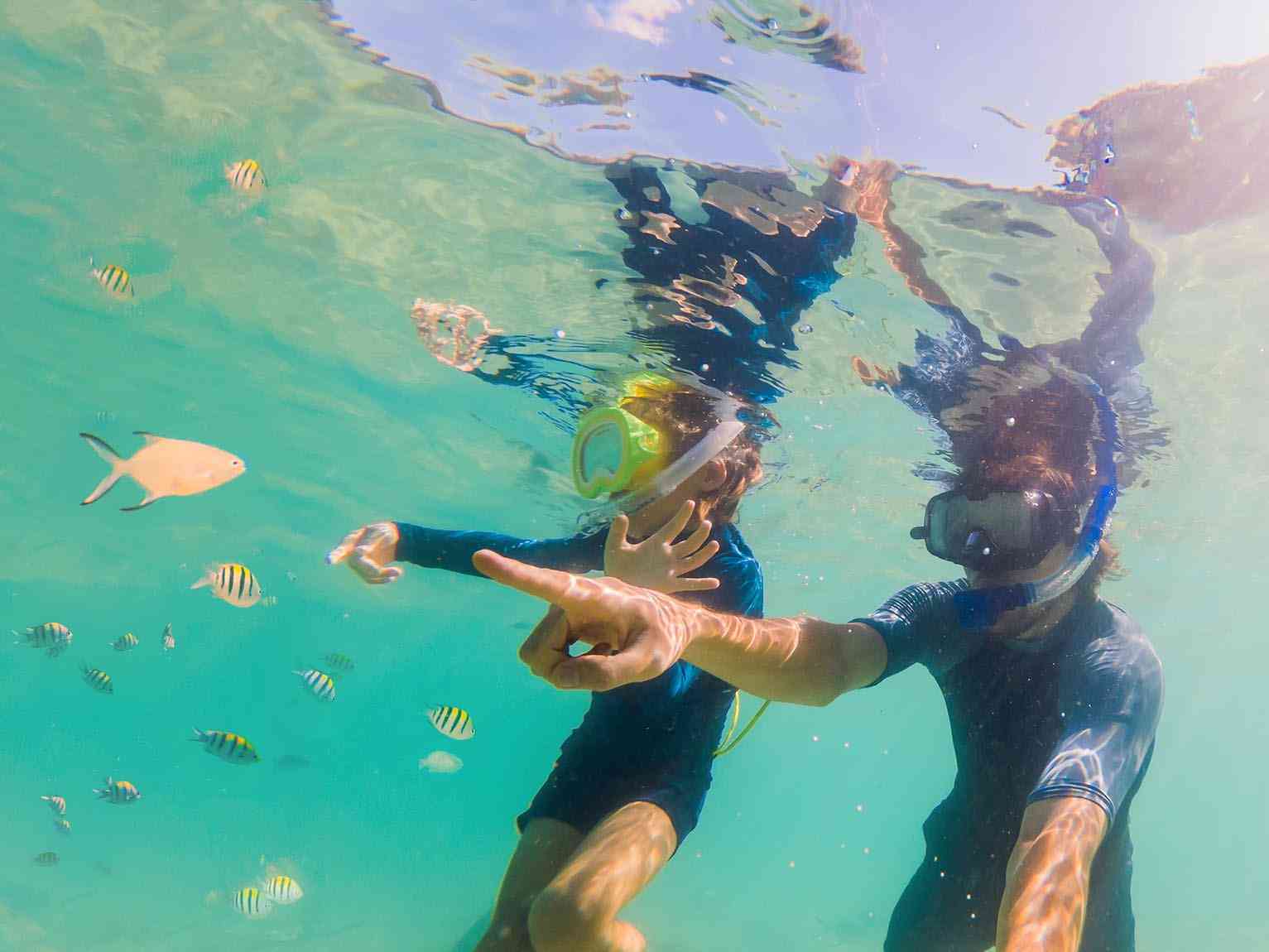 Immagine articolo: Menfi. Dal 25 al 27 luglio un corso di Bio-Snorkeling per i giovanissimi