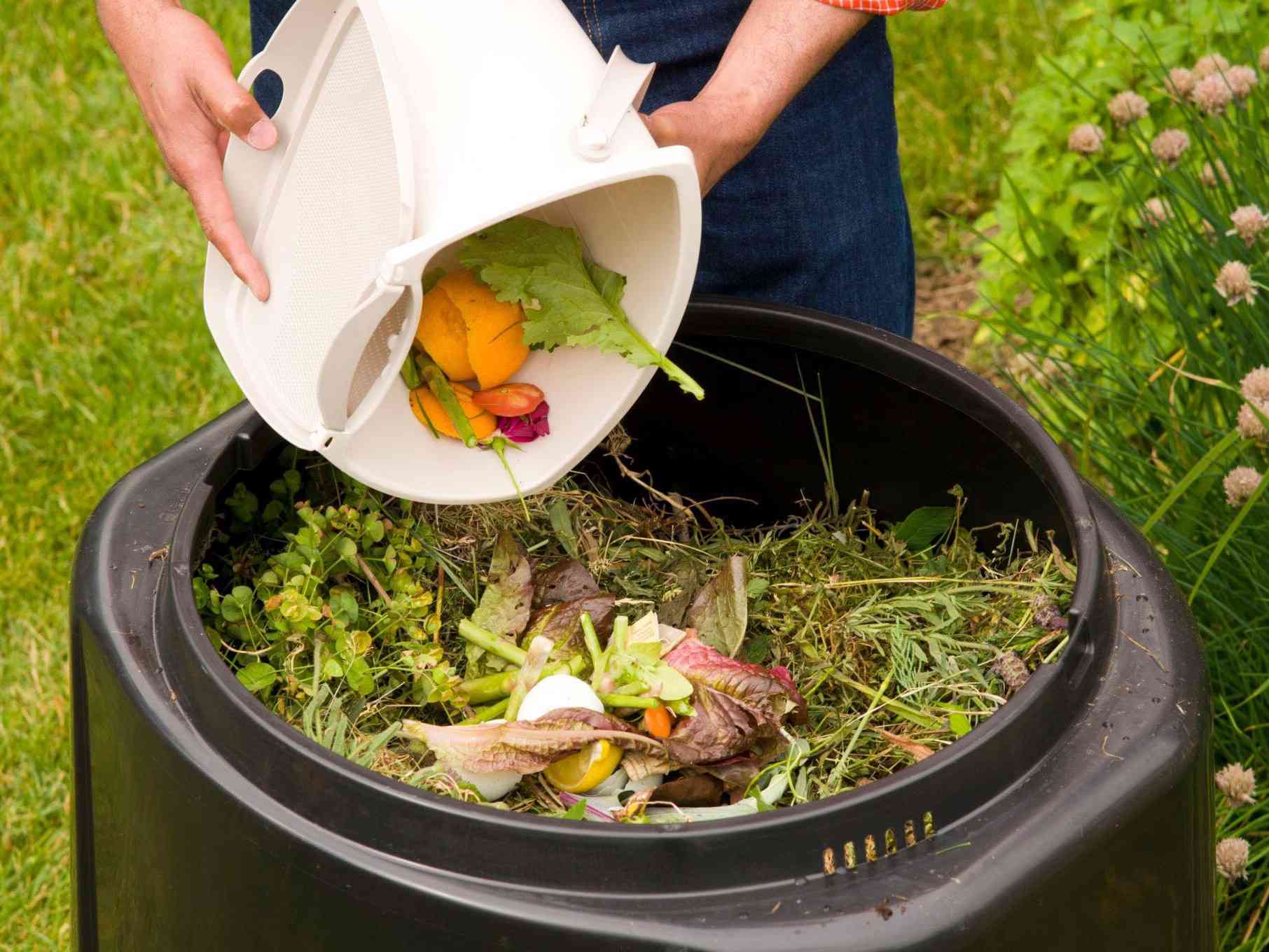 Immagine articolo: Salaparuta, finanziamento progetto compostaggio domestico