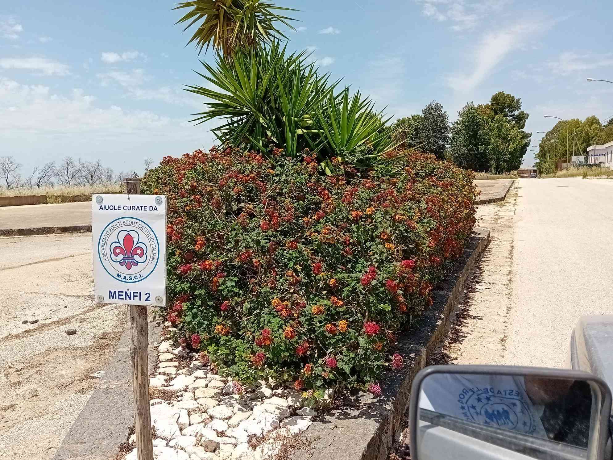 Immagine articolo: Menfi. Le aiuole fiorite affidate al Masci Menfi 2 danno decoro a Piazza Calvario