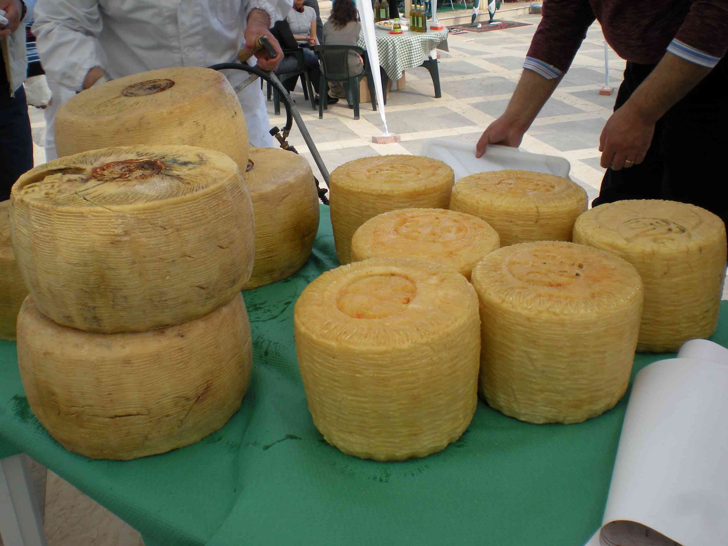 Immagine articolo: Poggioreale. Dal 2 al 4 maggio il “Festival del Formaggio della Valle del Belice“