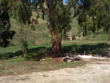 Immagine articolo: Viabilità provinciale,  protesta del sindaco di Santa Margherita di B. che ha installato dei cartelli di scuse per i cittadini. Strade provinciali “colabrodo“