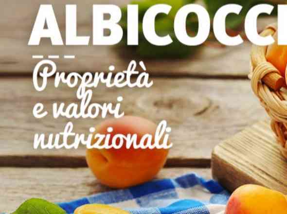 Immagine articolo: Alla scoperta delle albicocche tra proprietà e benefici per il nostro corpo