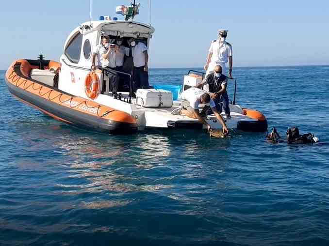 Immagine articolo: Il WWF libera a Sciacca una tartaruga marina. La liberazione è stata dedicata a John Peter Sloan