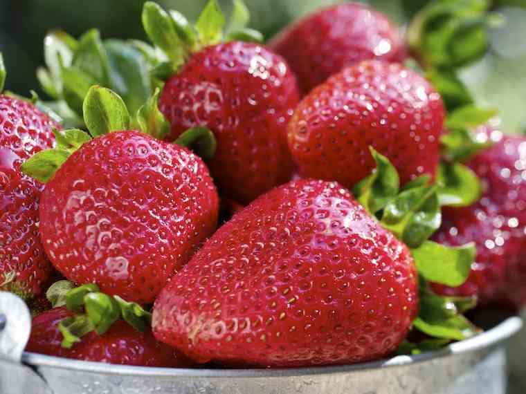 Immagine articolo: Mangiasano: Scopriamo tutti i benefici e le proprietà nutrizionali della fragola