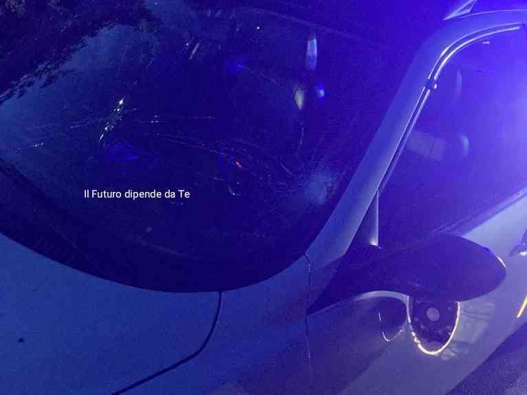 Immagine articolo: Santa Margherita di Belìce: albero secco a bordo strada cade e colpisce un'auto sulla statale che da bivio Misilbesi conduce a S. Margherita di Belìce