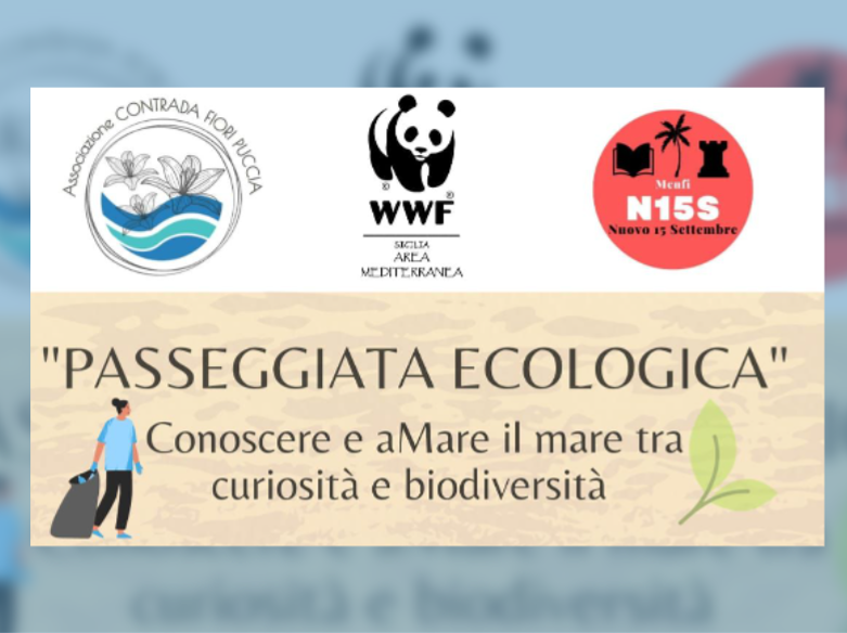 Immagine articolo: Menfi, domenica Associazione Fiori Puccia e Nuovo 15 Settembre con WWF organizzano “Passeggiata ecologica” tra curiosità e biodiversità. Partenza da Piazzetta della Riviera “Lido Fiori - Menfi”