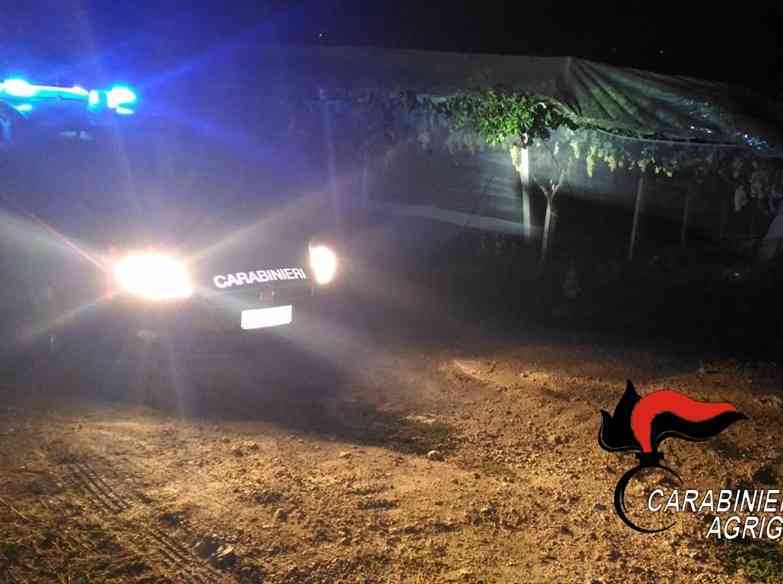 Immagine articolo: Controlli straordinari delle zone rurali. Contrasto ai furti di uva e di olive.