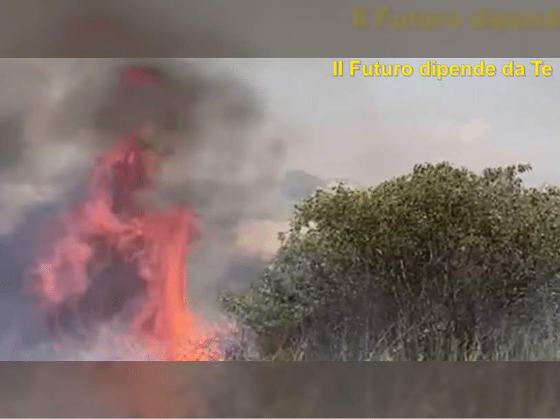 Immagine articolo: Santa Margherita, ancora fiamme e fumo nero alla Fossa dei Leoni. Sul posto uomini e mezzi del distaccamento