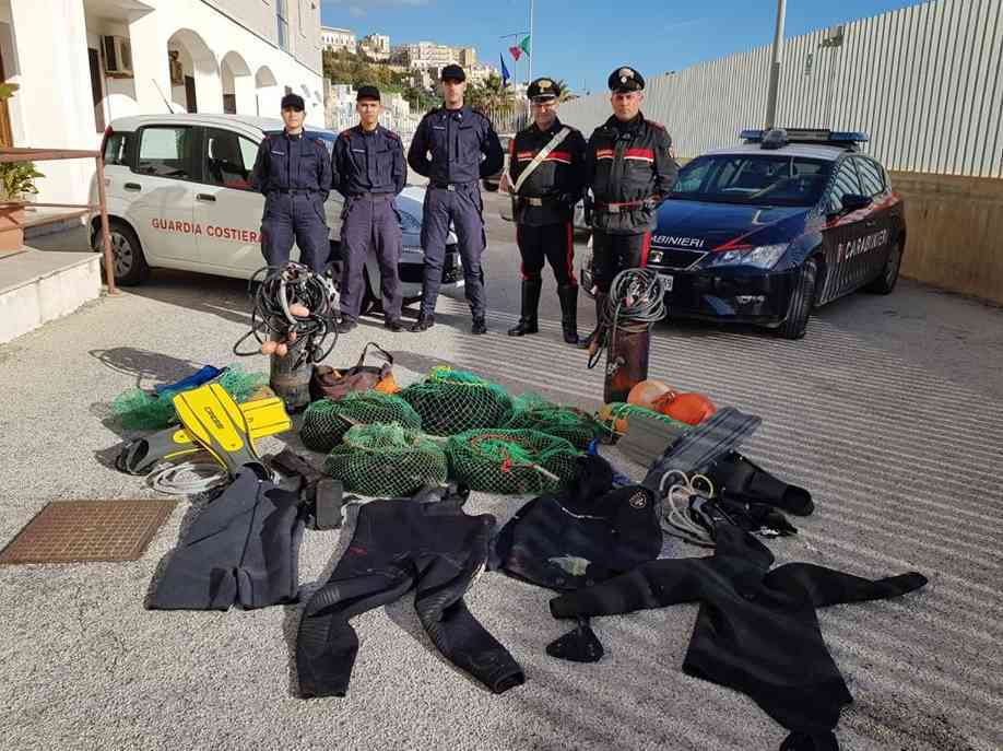 Immagine articolo: Sequestrati 1.500 ricci di mare, operazione di contrasto alla pesca illegale del Circomare e compagnia dei Carabinieri di Sciacca