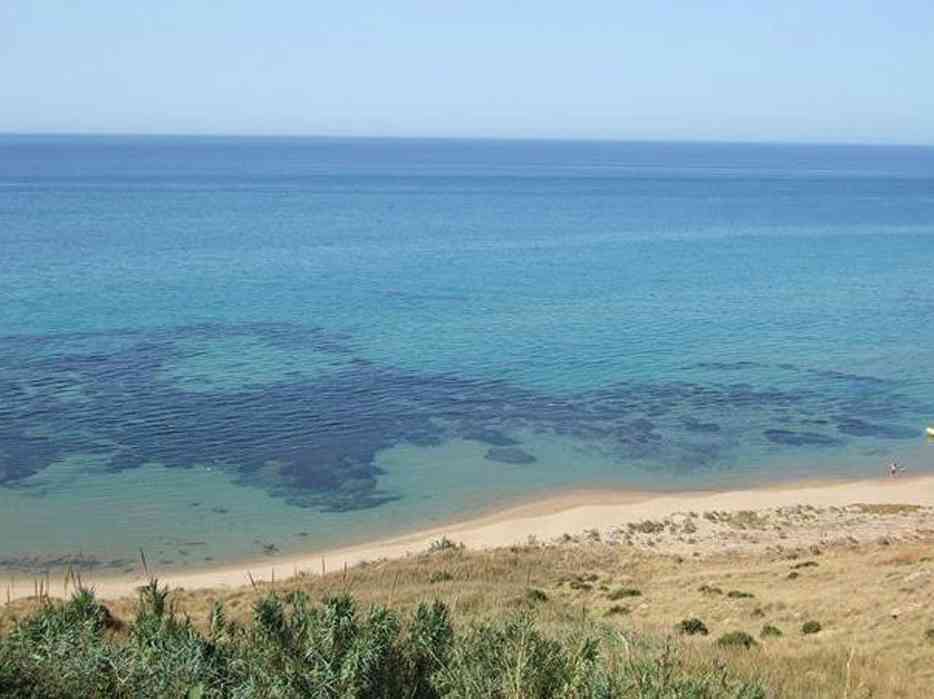 Immagine articolo: Menfi, protocollo d'intesa fra Comune e Mareamico