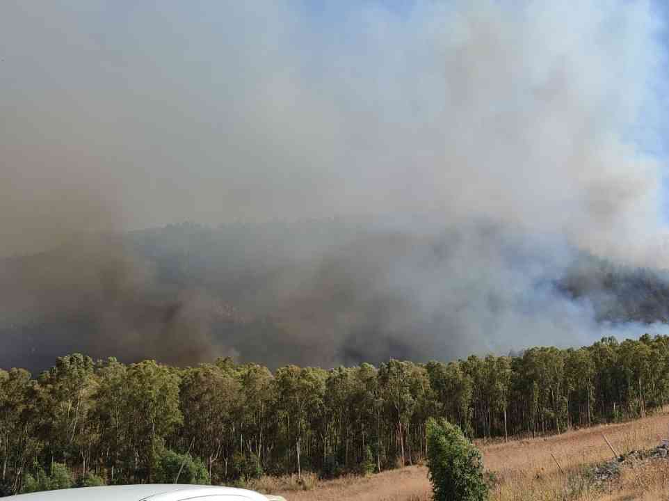 Immagine articolo: Ancora vasti incendi nel Belìce. Tra Gibellina e Poggioreale vegetazione in fiamme. Corpo Forestale e Protezione Civile in azione