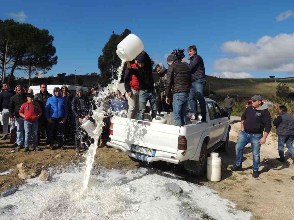 Immagine articolo: Poggioreale, manifestazione di protesta degli allevatori per il prezzo del latte