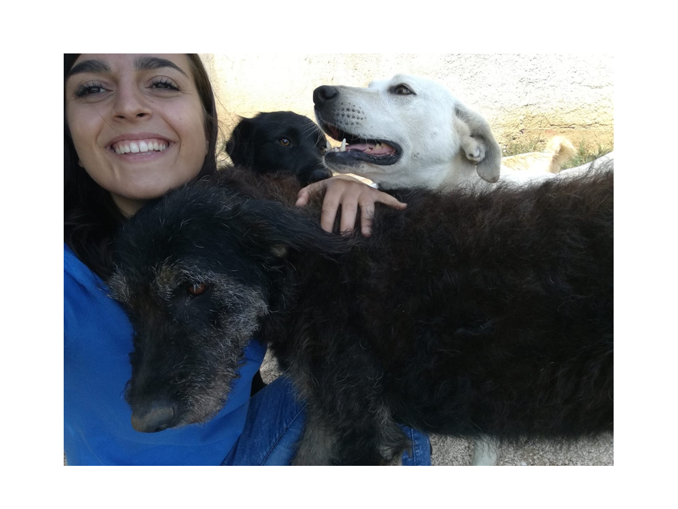 Immagine articolo: Viviana Barbera, volontaria dell'Oasi “Ohana” si racconta: «Come un piccolo gesto può fare la differenza»