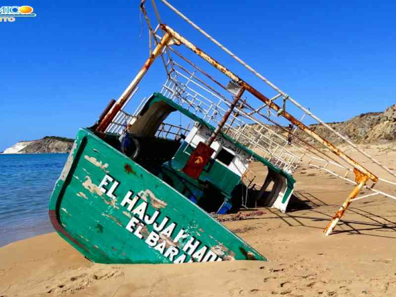 Immagine articolo: Barconi arrivati sulle coste affidabili anche ad enti no profit, la soddisfazione di Mareamico