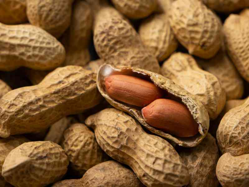 Immagine articolo: Arachidi? Non frutta secca ma un legume speciale. Ecco perchè: