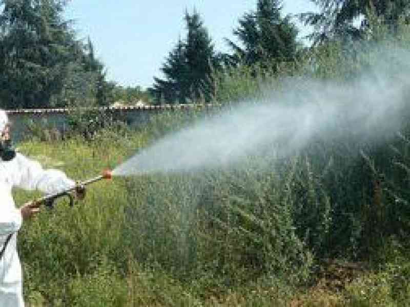 Immagine articolo: Menfi. Dal 29 giugno disinfestazione e derattizzazione
