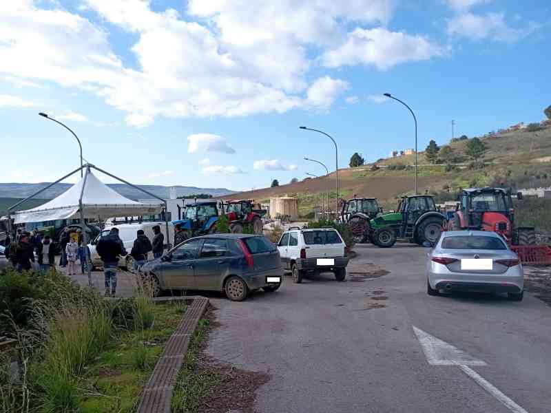 Immagine articolo: Nasce il Comitato spontaneo agricoltori allevatori Valle del Belìce contro la tassazione dei terreni