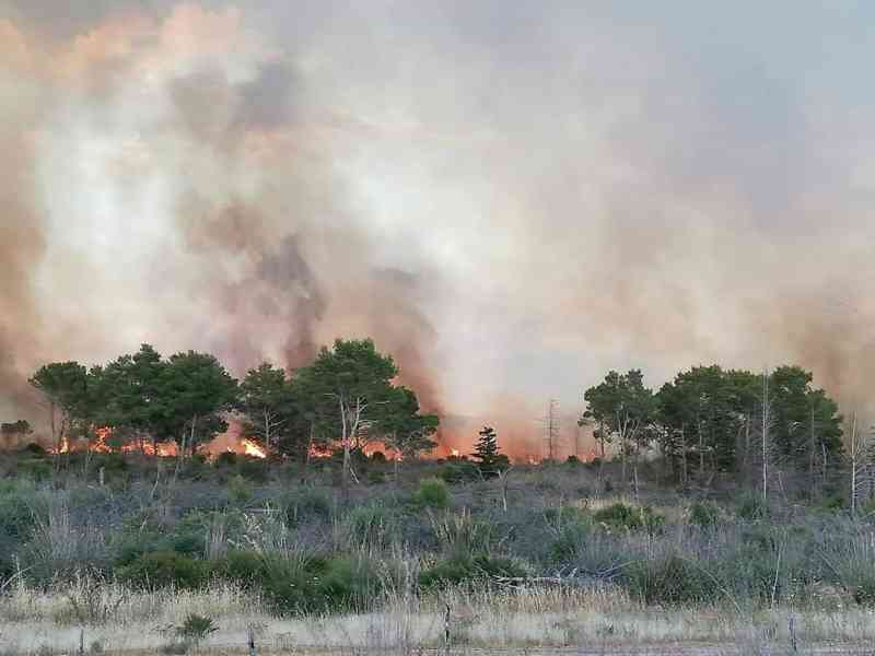 Immagine articolo: Vasto incendio in Contrada Magaggiaro. Alte fiamme. Non si esclude origine dolosa