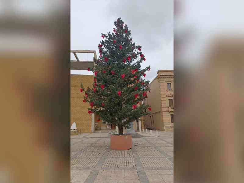 Immagine articolo: Menfi. Ponte dell'Immacolata: accensione dell'albero, mostra d'auto e Babbo Natale. Tutte le iniziative del fine settimana