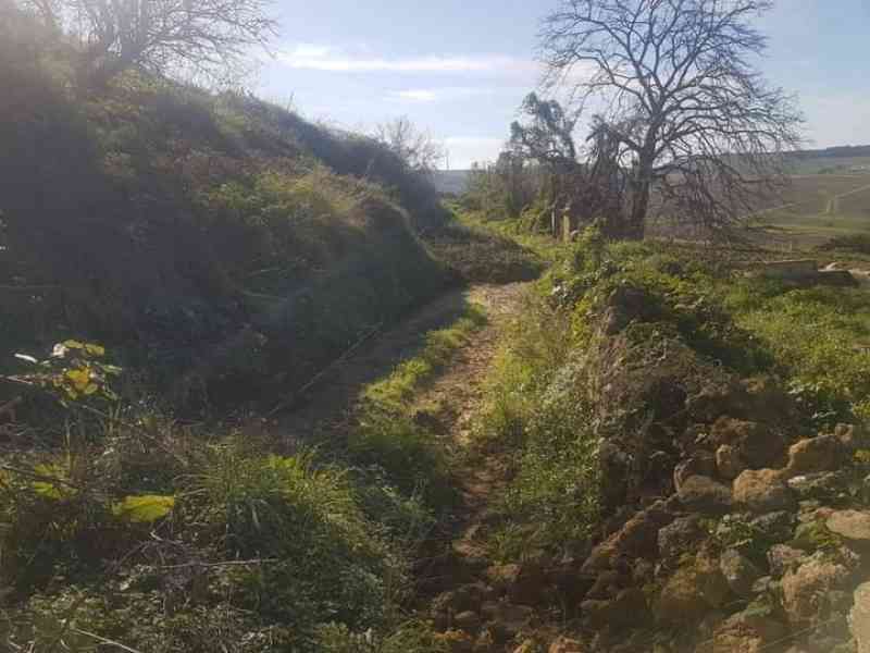 Immagine articolo: Viabilità rurale: in arrivo un milione di euro per una strada rurale di Santa Margherita di Belice. Pubblicata la graduatoria definitiva.