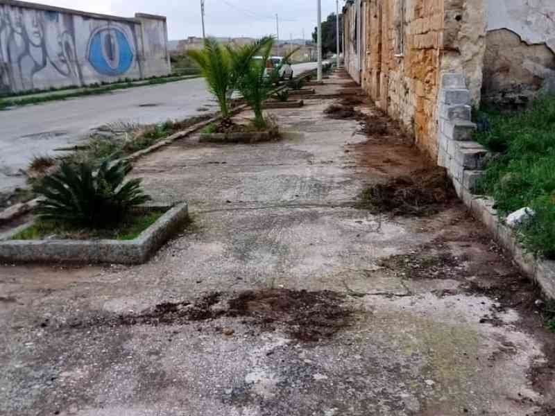 Immagine articolo: Montevago, “Percorsi Visivi” il Museo Open Air che nascerà a gennaio nel vecchio centro del comune belicino.