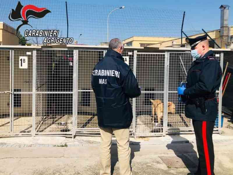 Immagine articolo: Scatta il sequestro amministrativo per il canile di Canicattì.Sul posto il Nas
