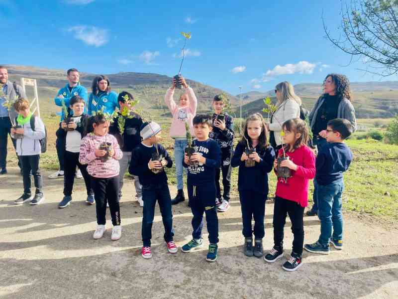 Immagine articolo: Poggioreale, un successo la Festa dell'Albero