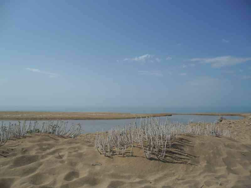 Immagine articolo: Messa in sicurezza dell’alveo del fiume Belice. Visita dei tecnici