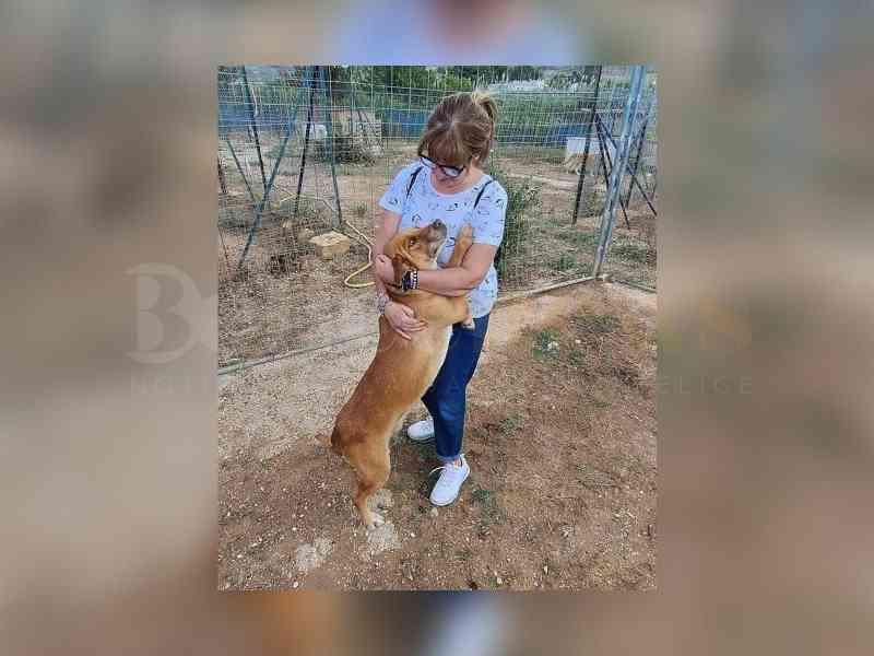 Immagine articolo: Menfi. L'ass. Amici di Olivia ricorda Lorella Mancinetti: “Esempio per tutti. Per sempre nei nostri cuori“