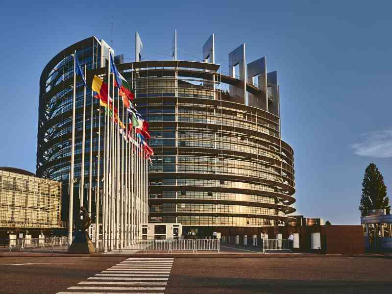 Immagine articolo: Europee. Come hanno votato i Menfitani? Vince Forza Italia con il 43% delle preferenze