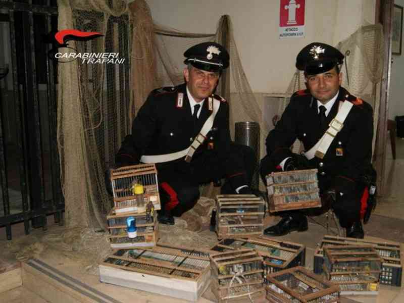 Immagine articolo: Salaparuta, cattura illegale di volatili ed al maltrattamento degli animali. Denunciati due palermitani