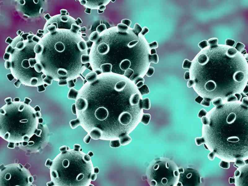 Immagine articolo: Il Coronavirus tra ansie, contagi e il ricordo di quella pestilenza che colpì la Sicilia nel 1575