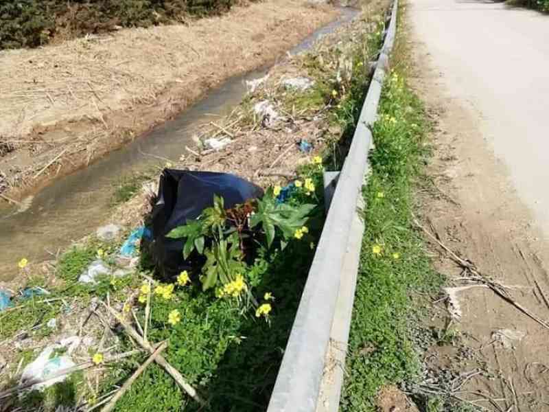 Immagine articolo: Menfi, abbandono di rifiuti indiscriminati lungo le sponde del Vallone Mandrarossa. Il ViceSindaco:“ Appello ai cittadini a segnalare anonimamente“