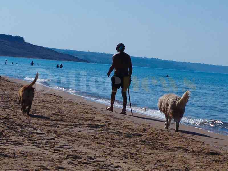 Immagine articolo: Una storia di amicizia e fedeltà sulla Spiaggia di Lido Fiori: Il signor Vincenzo e la dolce Bianca