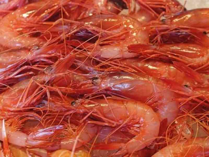 Immagine articolo: Crostacei: proprietà e calorie