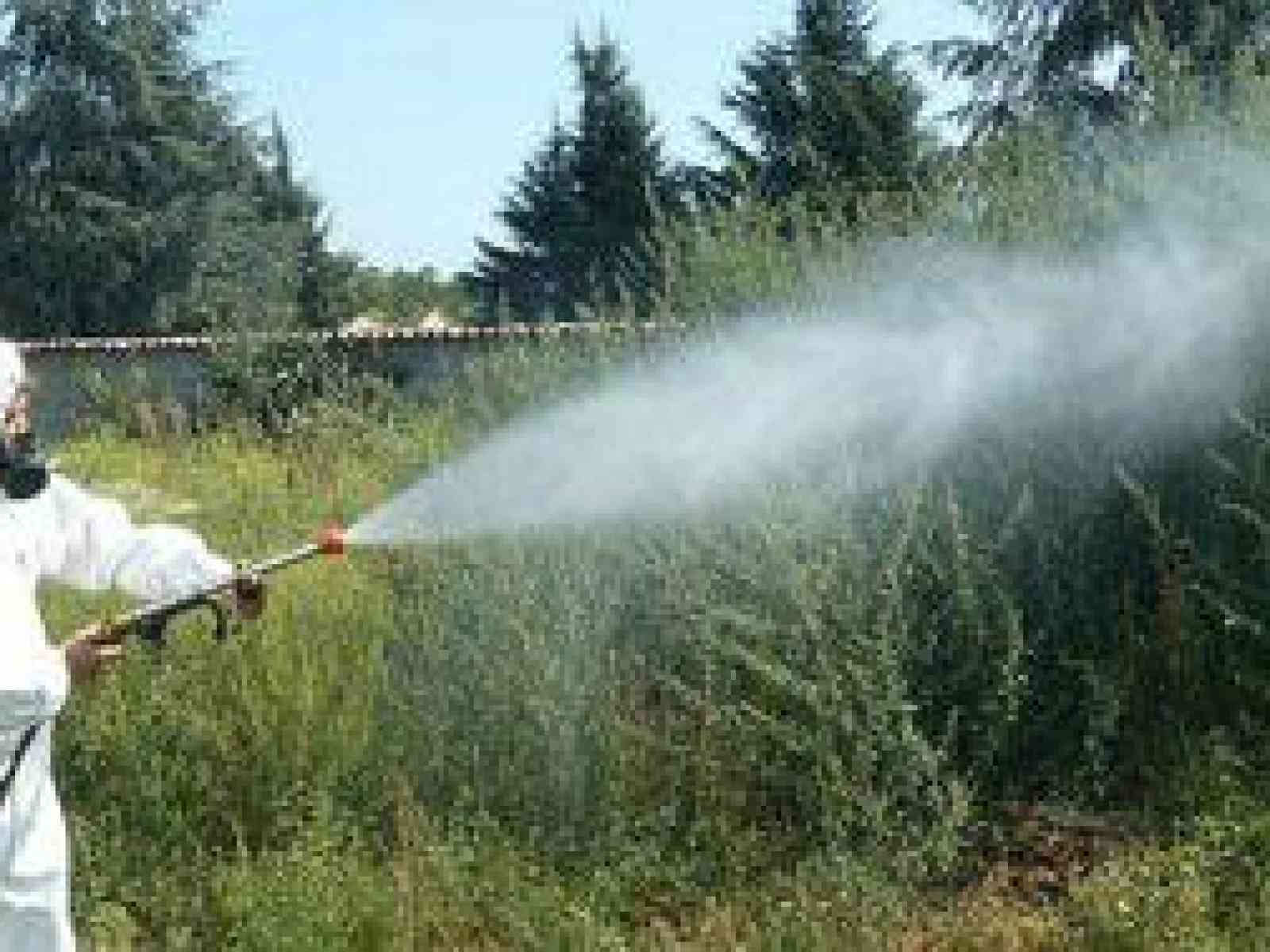 Immagine articolo: Menfi. Dal 29 giugno disinfestazione e derattizzazione