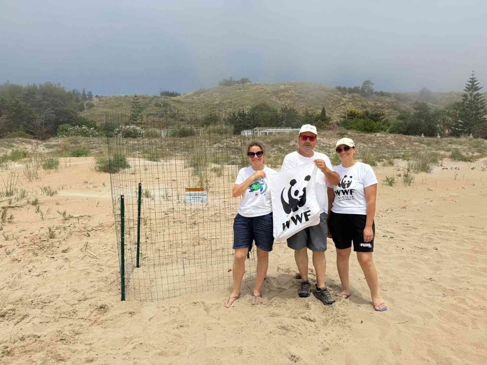 Immagine articolo: Menfi, Caretta caretta torna a Porto Palo: individuato e messo in sicurezza un nido