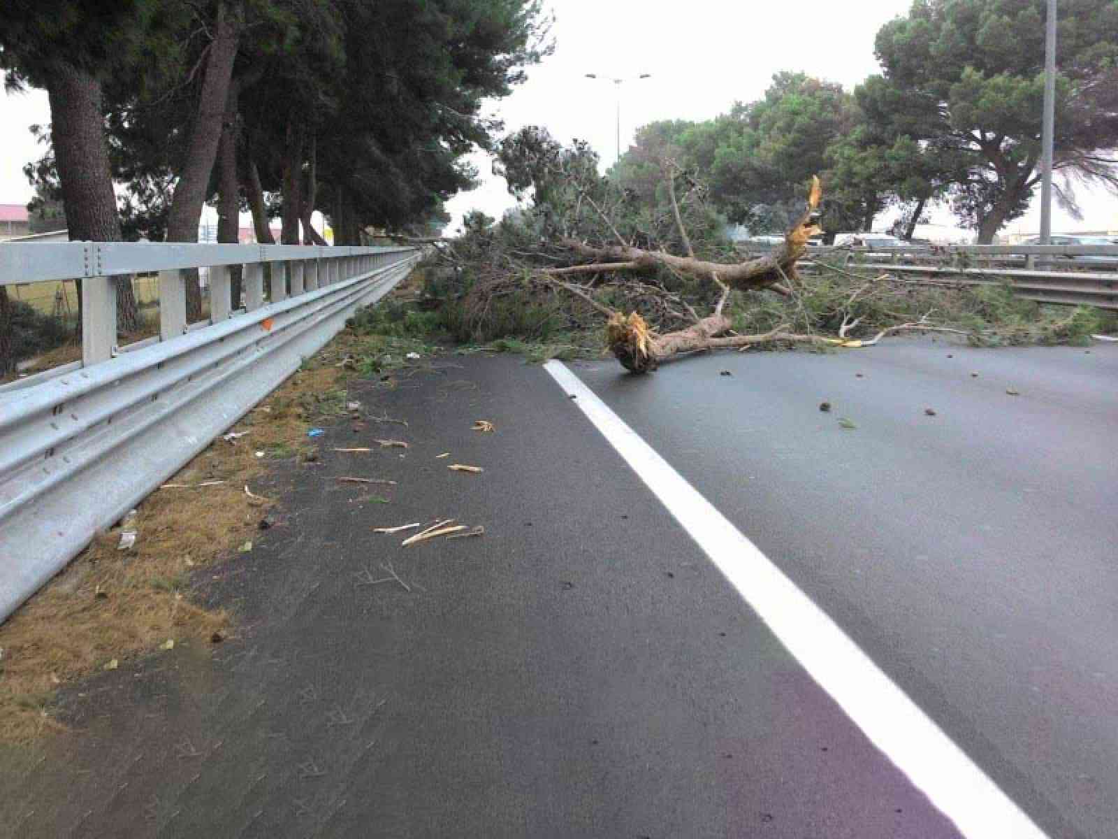 Immagine di repertorio