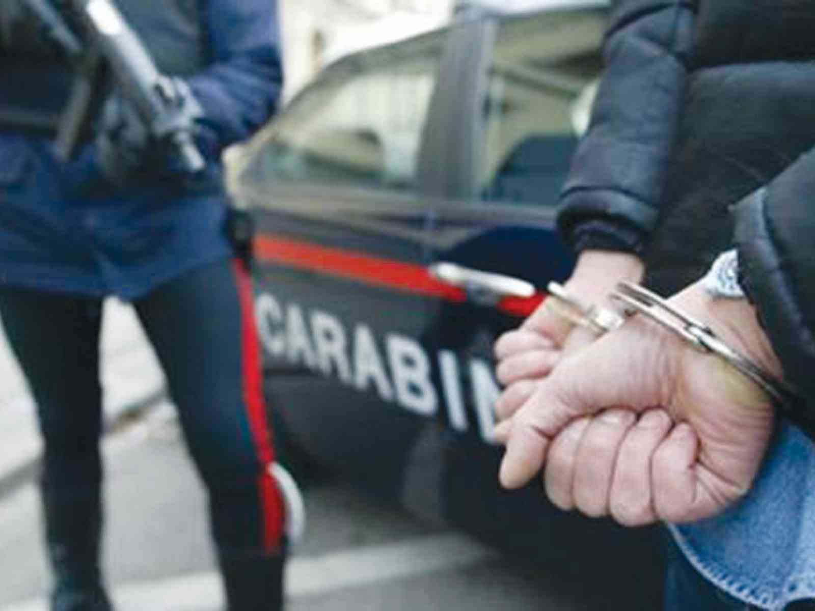 Immagine articolo: Scoperta maxi piantagione a Ribera,  marito e moglie coltivavano 150 piante di “Canapa indiana“ fra ulivi e fichi d'India