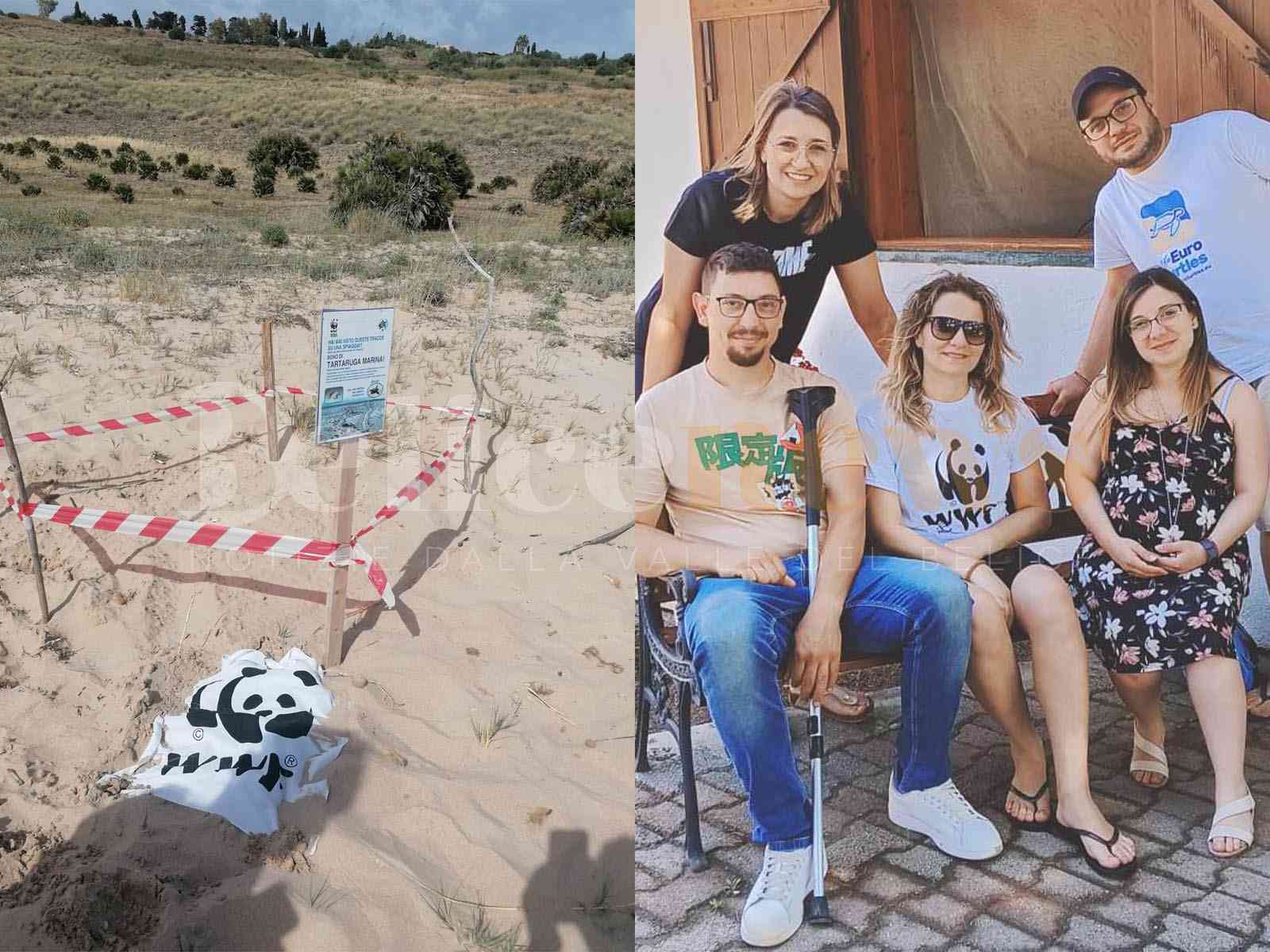 Immagine articolo: Mamma Caretta caretta torna sulla spiaggia di Menfi. Individuato il nido