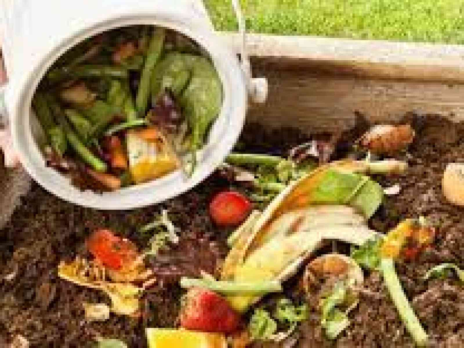 Immagine articolo: Poggioreale, una serata all'insegna dell'Ecologia e del rispetto dell'Ambiente