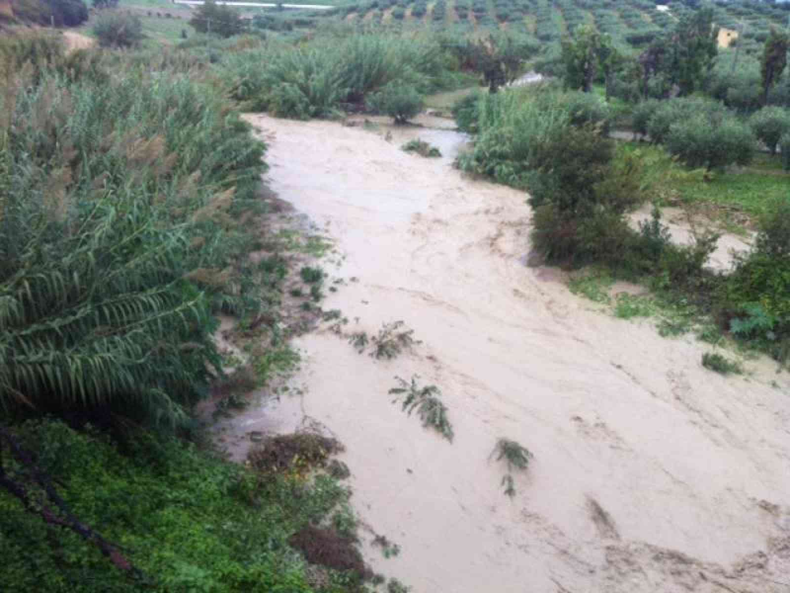 Immagine articolo: Dalla Regione altri 20 Milioni per fiumi e torrenti. Oltre 400 Mila Euro per interventi nei pressi del ponte sulla S. P. Partanna-Santa Margherita Belice e in zona “Terme Acqua Pia”