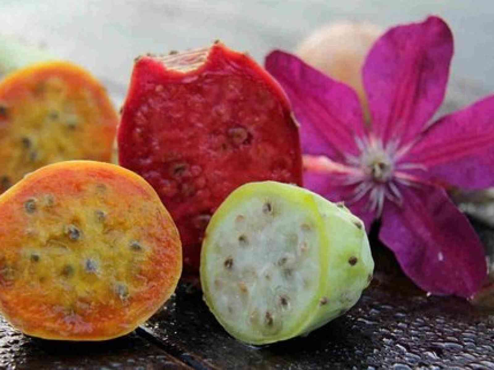Immagine articolo: Fico d'India, il cibo del futuro. Ecco come si posiziona l'Italia nella classifica