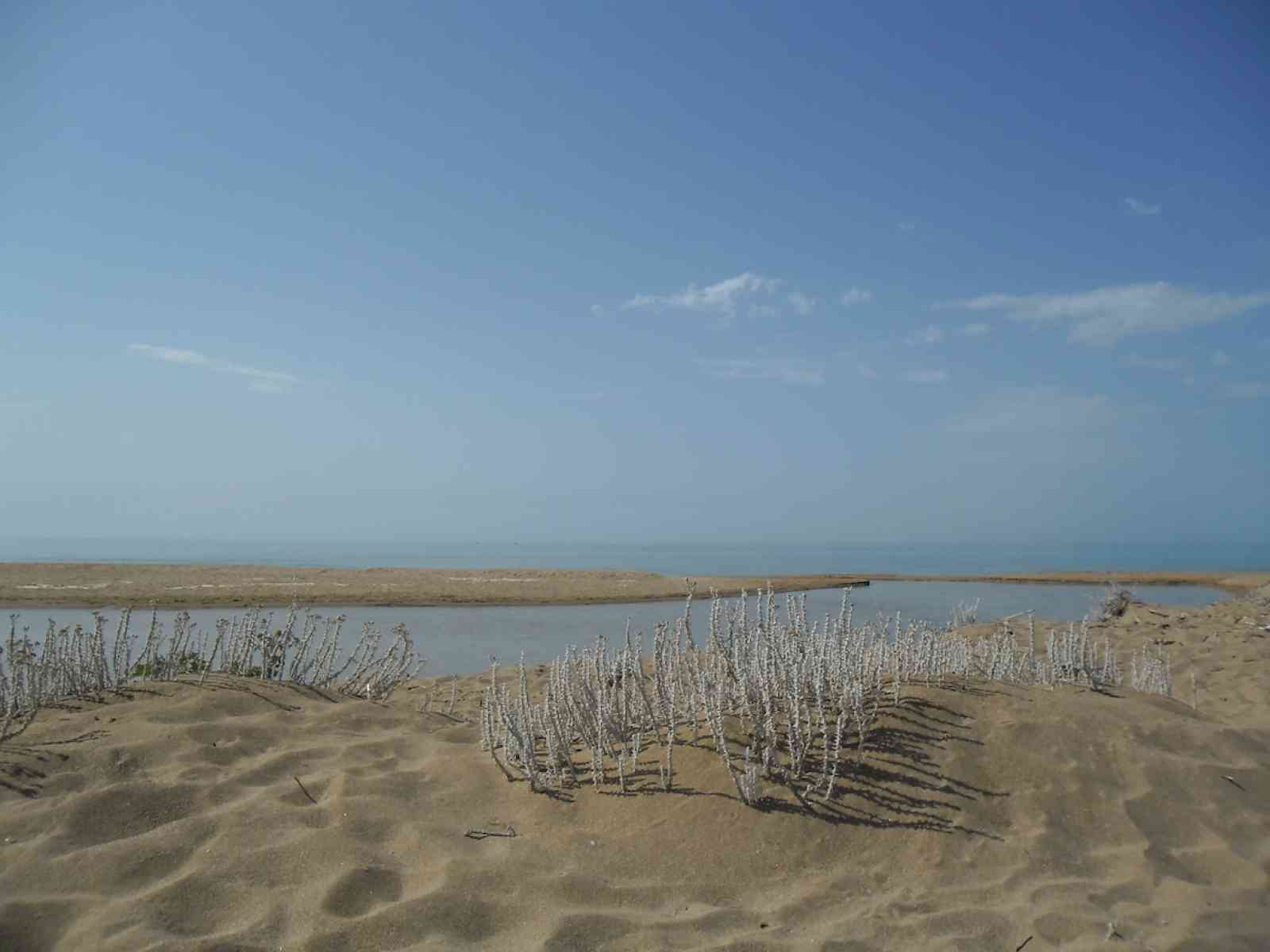 Immagine articolo: Messa in sicurezza dell’alveo del fiume Belice. Visita dei tecnici