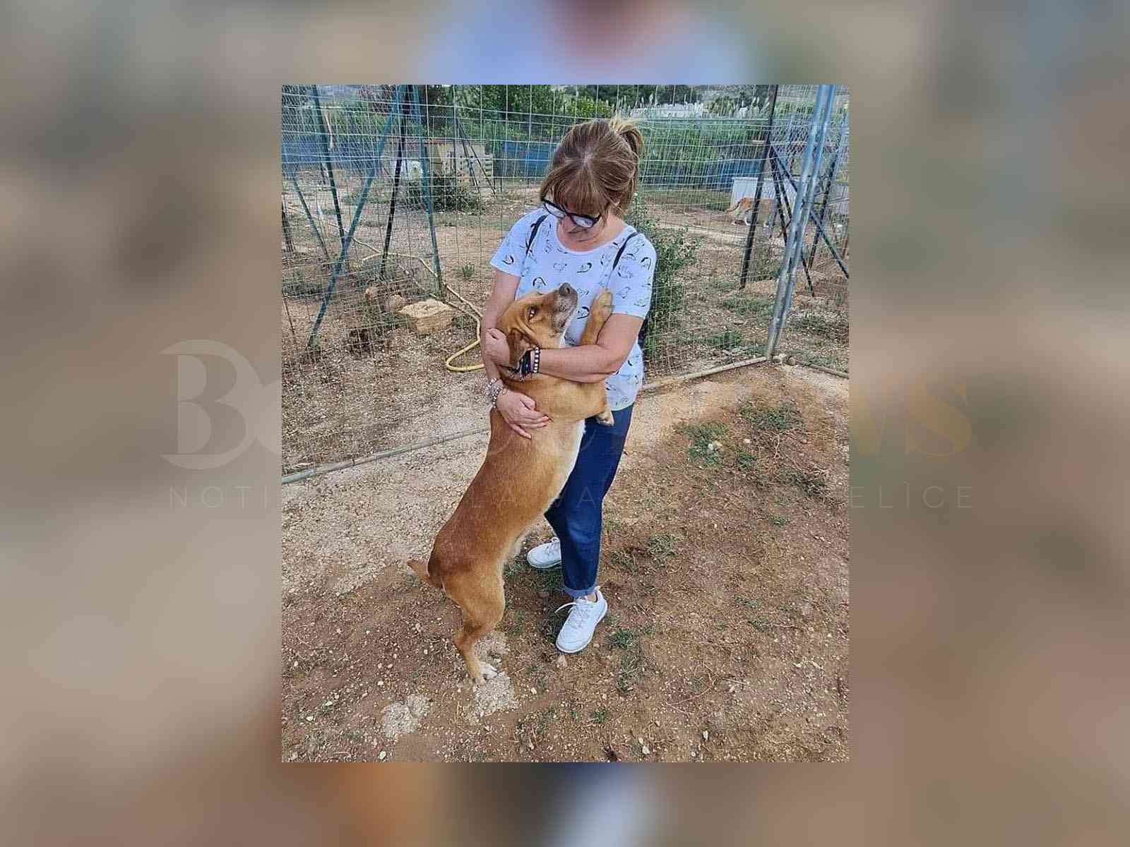 Immagine articolo: Menfi. L'ass. Amici di Olivia ricorda Lorella Mancinetti: “Esempio per tutti. Per sempre nei nostri cuori“
